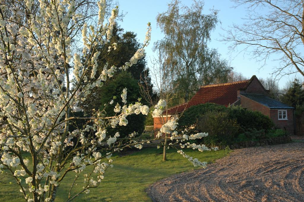 Field Cottage Bed And Continental Breakfast East Harling Bilik gambar